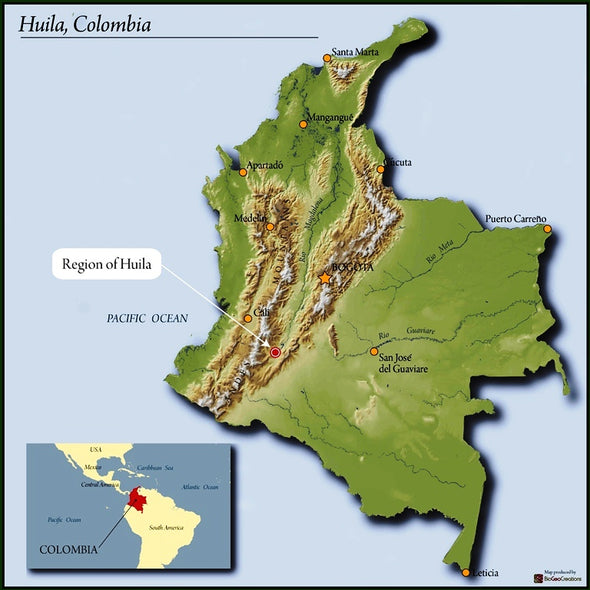 el COLOMBIANO